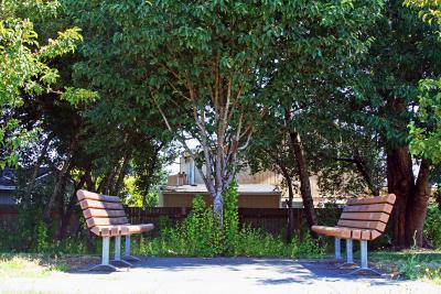 Benches at Cannery Park